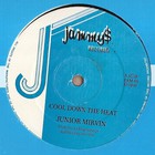 Junior Murvin - Cool Down The Heat (VLS)
