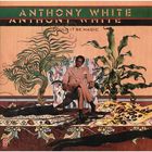 Anthony White - Could It Be Magic (Vinyl)