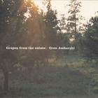 Oren Ambarchi - Grapes From The Estate (EP)