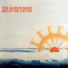 The Albion Band - Rise Up Like The Sun (Vinyl)