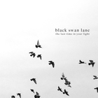 Black Swan Lane - The Last Time In Your Light