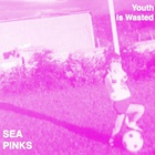 Sea Pinks - Youth Is Wasted