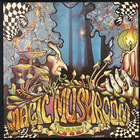 Magic Mushroom Band - Re-Hash