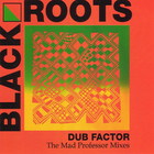 Black Roots - Dub Factor - The Mad Professor Mixes
