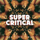 The Ting Tings - Super Critical
