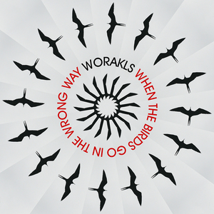 When The Birds Go In The Wrong Way (CDS)