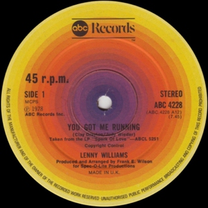 You Got Me Running - Come Reap My Love (VLS)