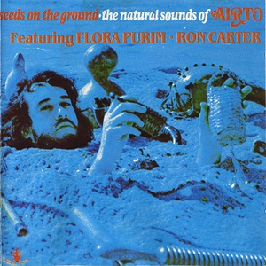 Seeds On The Ground - The Natural Sounds Of Airto (Vinyl)