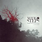 Vertigo Steps - Disappear Here In The Reel World/ A Vs Coda