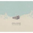 Erin Bode - A Cold December Night