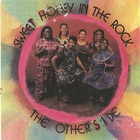 Sweet Honey in the Rock - The Other Side (Vinyl)