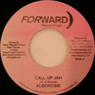 Alborosie - Call Up Jah (VLS)