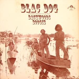 Backwoods Boogie (Vinyl)