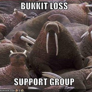 Herd Of Lolrus (CDS)