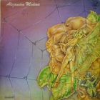 Alejandro Medina (Vinyl)