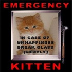 Kevin Suter - In Case Of Emergency (CDS)