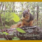 The Albion Band - Natural And Wild