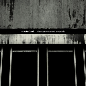 Where Once Were Exit Wounds