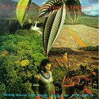 Blues From The Rainforest