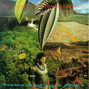 Blues From The Rainforest