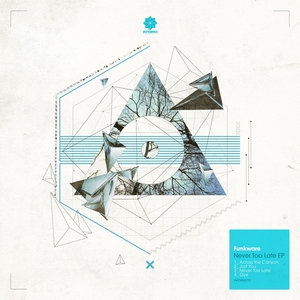 Never Too Late (EP)