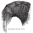 The Animal You Are