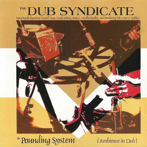 The Pounding System (Ambience In Dub)
