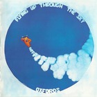 Oxfords - Flying Up Through The Sky (Vinyl)