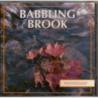 Northsound - Babbling Brook