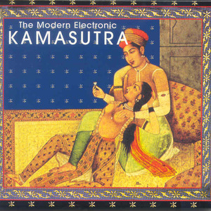 The Modern Electronic Kamasutra