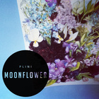 Moonflower (CDS)