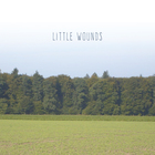 Little Wounds