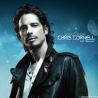 Chris Cornell - Long Gone (CDS)