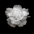 Lee Abraham - Black & White (EP)