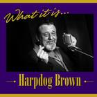 Harpdog Brown - What It Is