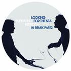 Pupkulies & Rebecca - Looking For The Sea In Remix: Part 2 (EP)