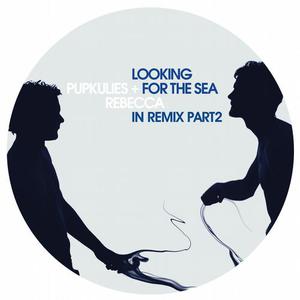 Looking For The Sea In Remix: Part 2 (EP)