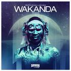 Dimitri Vegas - Wakanda (CDR) (With Like Mike)
