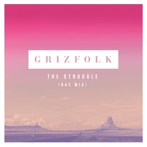 The Struggle (Rac Mix) (CDS)
