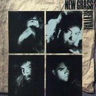 New Grass Revival - Friday Night In America