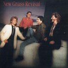 New Grass Revival - Hold To A Dream (Vinyl)
