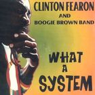 Clinton Fearon & Boogie Brown Band - What A System CD1