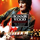 Ron Wood - Anthology CD2