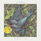 Feathering A Nest (EP)