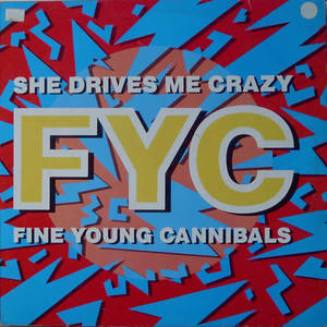 She Drives Me Crazy (CDS)