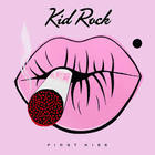 Kid Rock - First Kiss (CDS)
