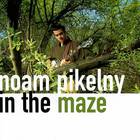 Noam Pikelny - In The Maze