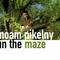 Noam Pikelny - In The Maze
