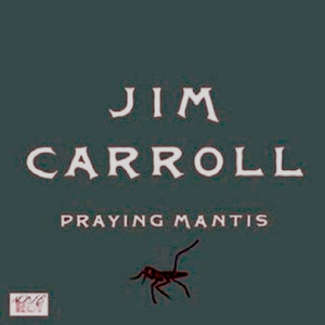 Praying Mantis