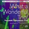 Tsuyoshi Yamamoto Trio - What A Wonderful Trio!